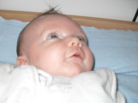 Bild zu 