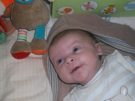 Bild zu 