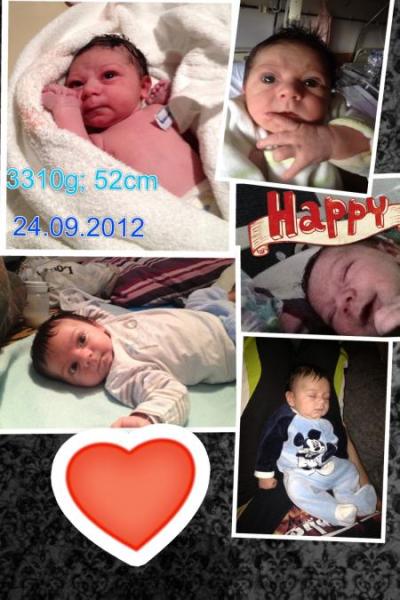 Bild zu