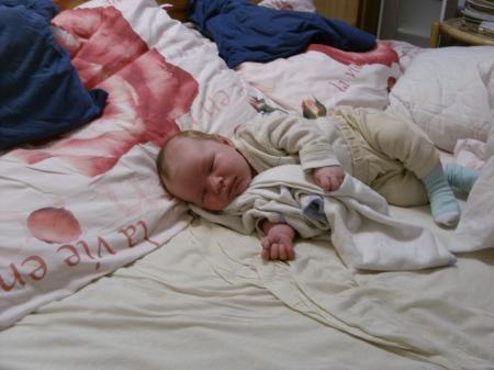 Bild zu 
