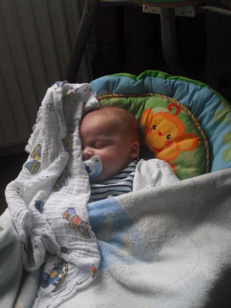 Bild zu 