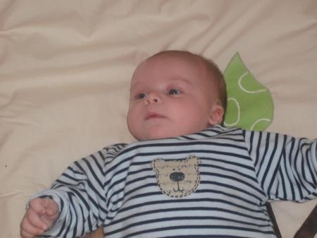 Bild zu