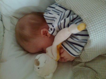 Bild zu