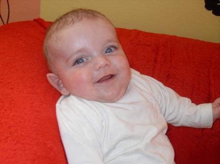 Bild zu 