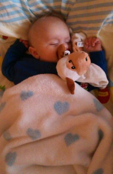 Bild zu Wünsche euch allen... - Forum für September - Mamis