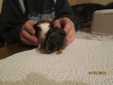 Bild zu 