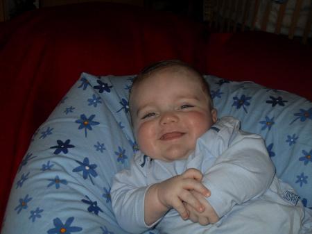 Bild zu
