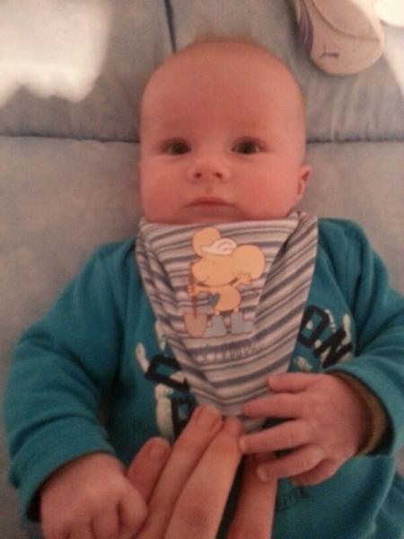 Bild zu