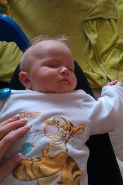 Bild zu 