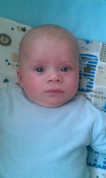 Bild zu