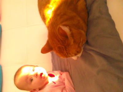 Bild zu isabella spricht mit Katzen. - Forum für September - Mamis