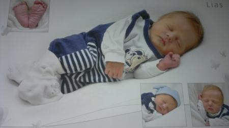 Bild zu