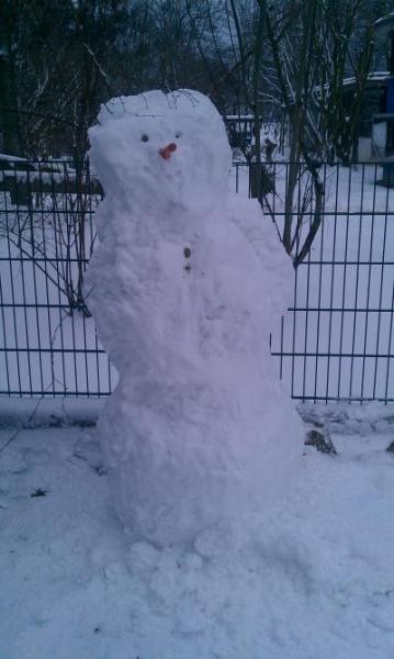 Bild zu Schnee! - Forum für September - Mamis
