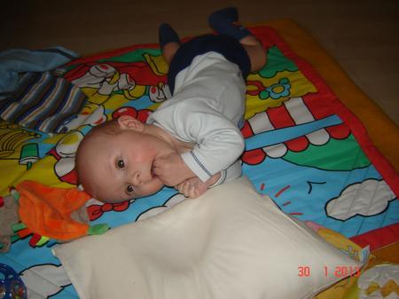 Bild zu