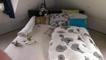 Bild zu 