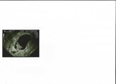 Bild zu Unser Termin - Forum für September - Mamis