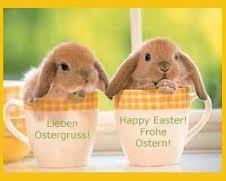Bild zu Wünsche euch allen frohe Ostern - Forum für September - Mamis