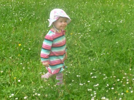 Bild zu 