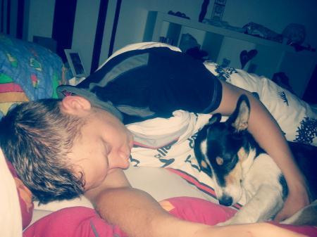 Bild zu 