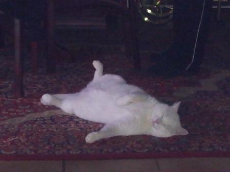 Bild zu 