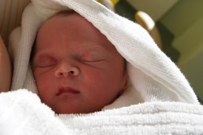 Bild zu Phoebe - Forum für September - Mamis