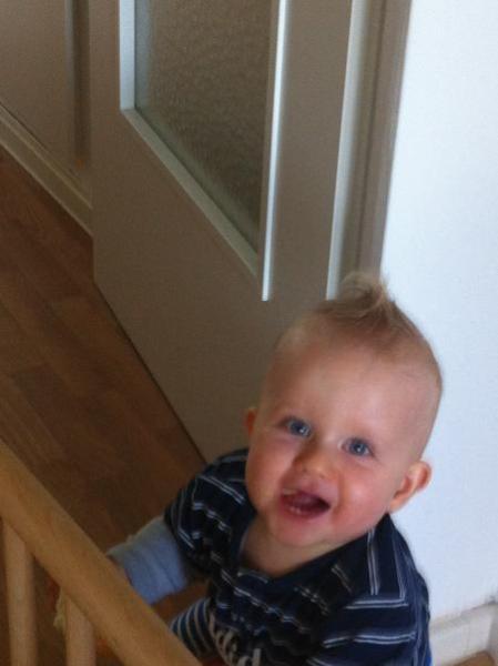 Bild zu 