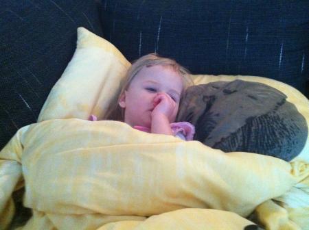 Bild zu