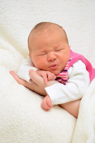 Bild zu Vielleicht, klappts ja nun? - Forum für September - Mamis