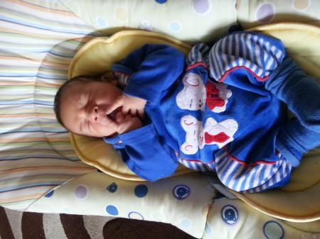 Bild zu