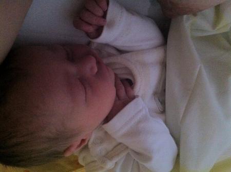 Bild zu