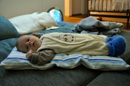 Bild zu