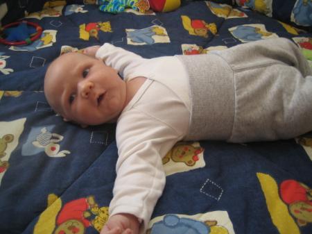 Bild zu