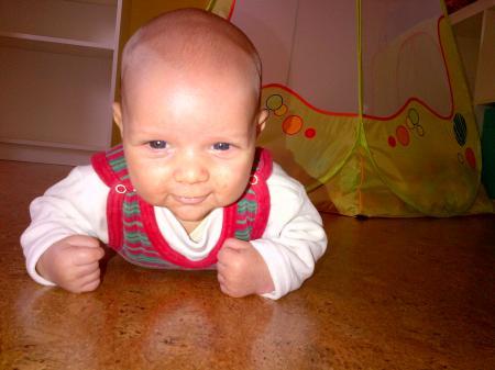 Bild zu