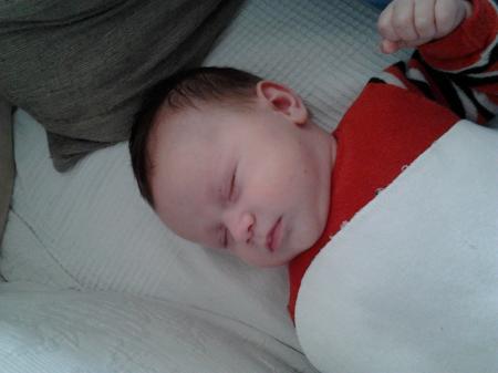Bild zu