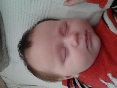 Bild zu