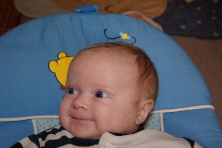 Bild zu 