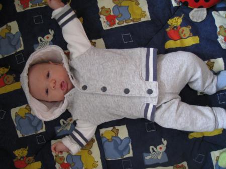 Bild zu 