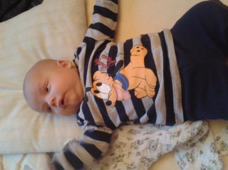 Bild zu 