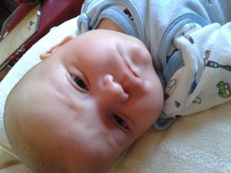 Bild zu 