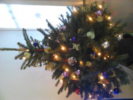 Bild zu 