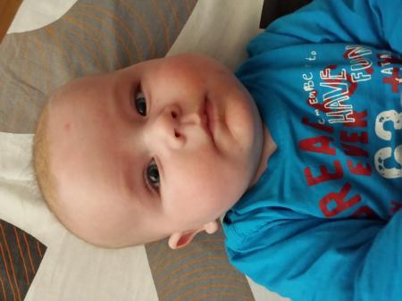 Bild zu 