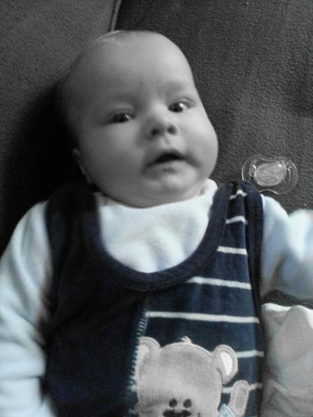 Bild zu