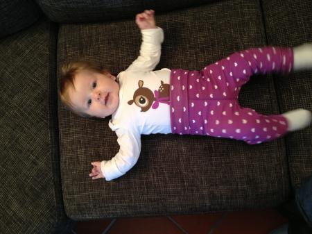 Bild zu
