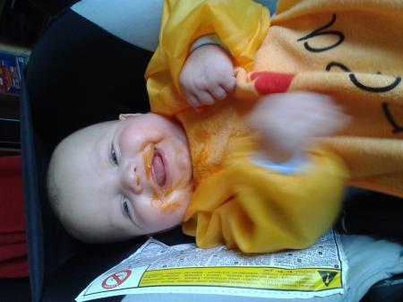 Bild zu