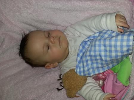 Bild zu