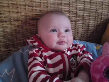 Bild zu