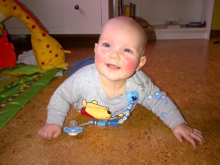 Bild zu