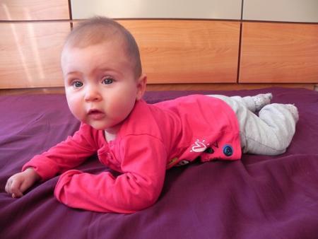 Bild zu