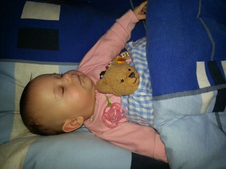 Bild zu
