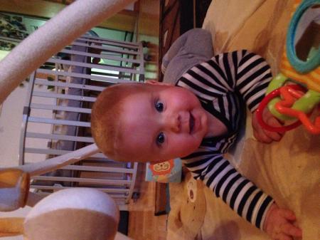 Bild zu